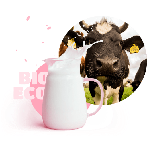cow with decanter